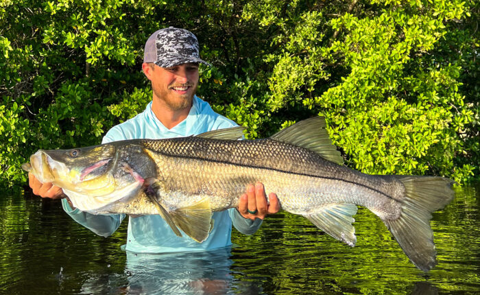 A man holding a large Snook in the water.